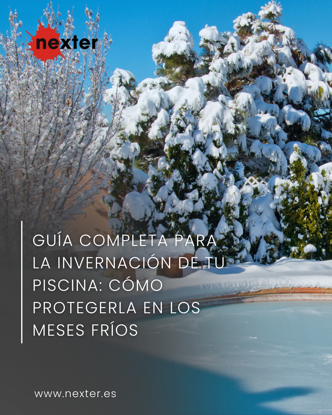Guía completa para la invernación de tu piscina: cómo protegerla en los meses fríos