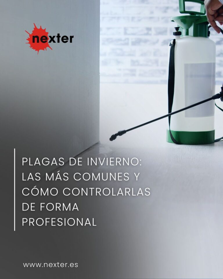 Plagas de invierno: las más comunes y cómo controlarlas de forma profesional