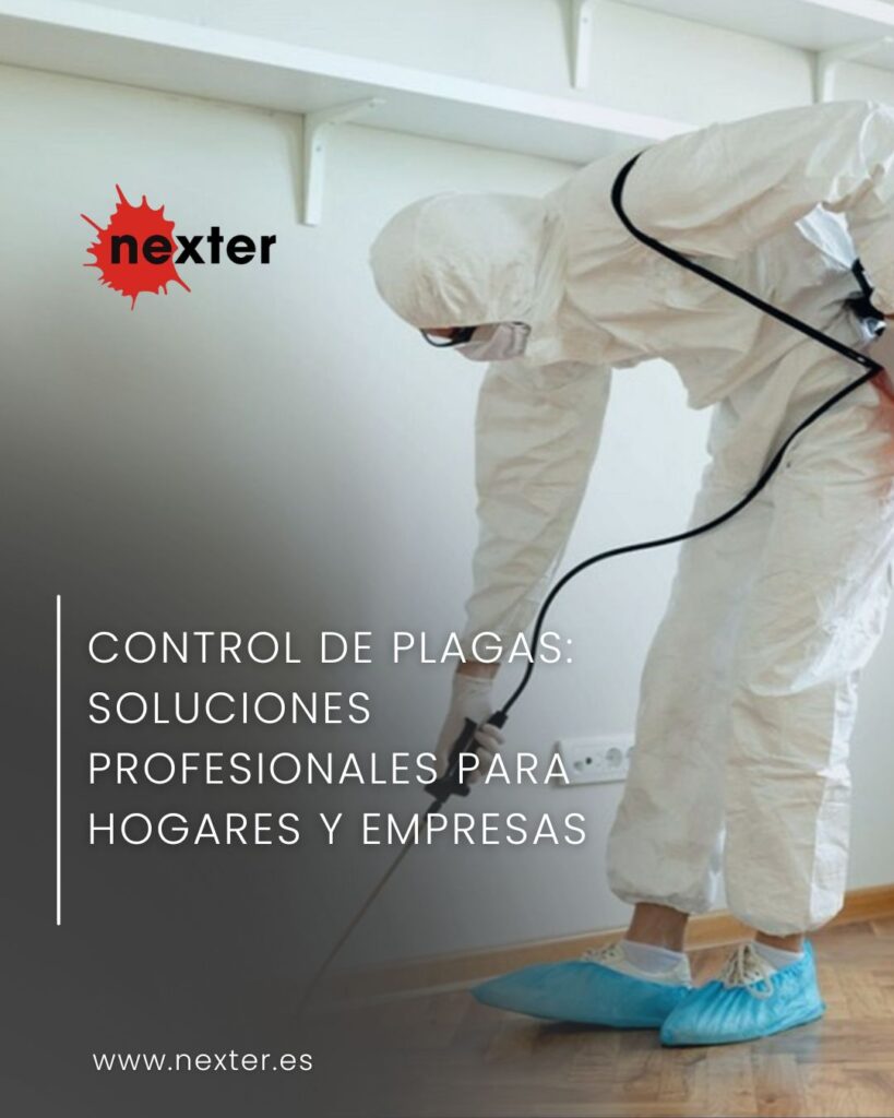 Control de plagas en Ciudad Real: soluciones profesionales para hogares y empresas